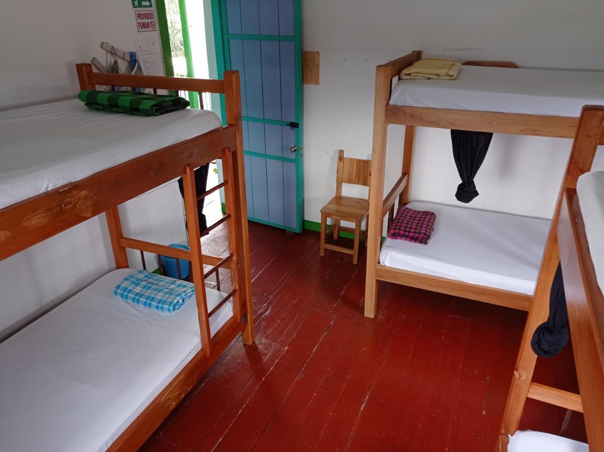 Bidea Backpackers Hostel フィランディア エクステリア 写真